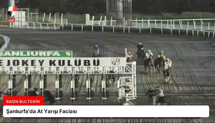 Şanlıurfa’da At Yarışı Faciası