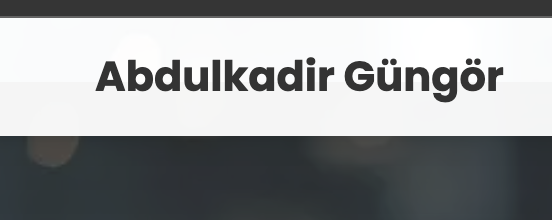 Web Design & Developer Hizmetleri