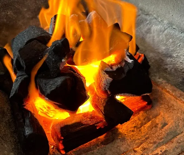 Şahin Kömür: Dünyanın Kaliteli Kömürünü Türkiye’ye Taşıyoruz