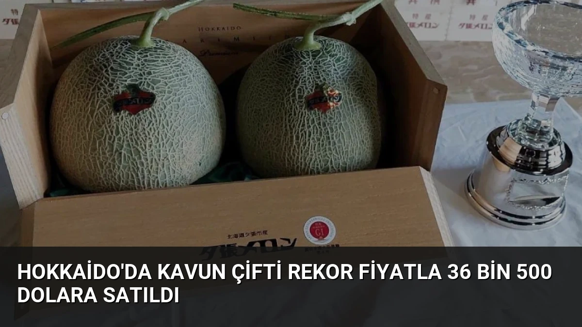 Hokkaido’da Kavun Çifti Rekor Fiyatla 36 Bin 500 Dolara Satıldı