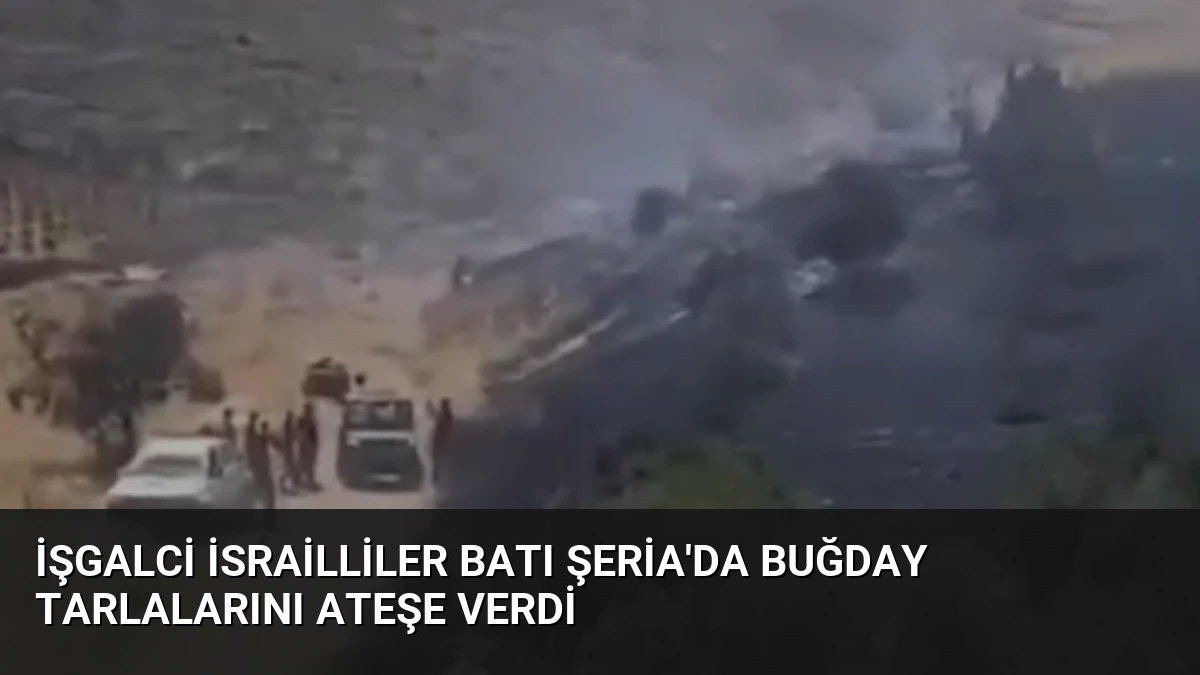 İşgalci İsrailliler Batı Şeria’da Buğday Tarlalarını Ateşe Verdi