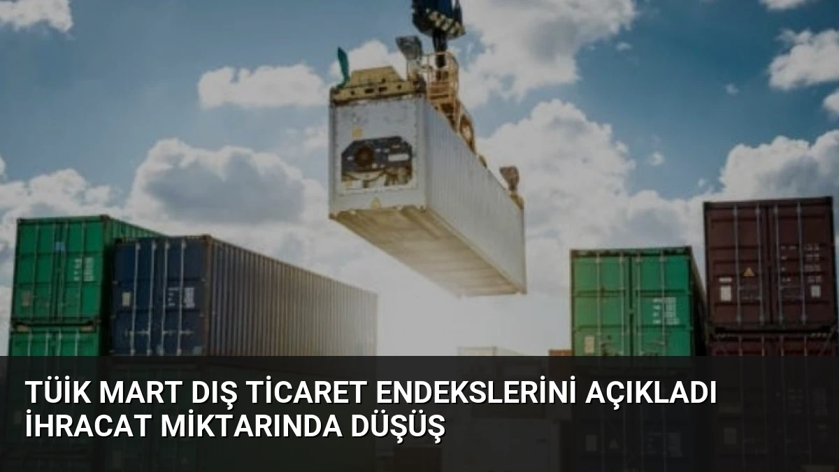 TÜİK Mart Dış Ticaret Endekslerini Açıkladı İhracat Miktarında Düşüş