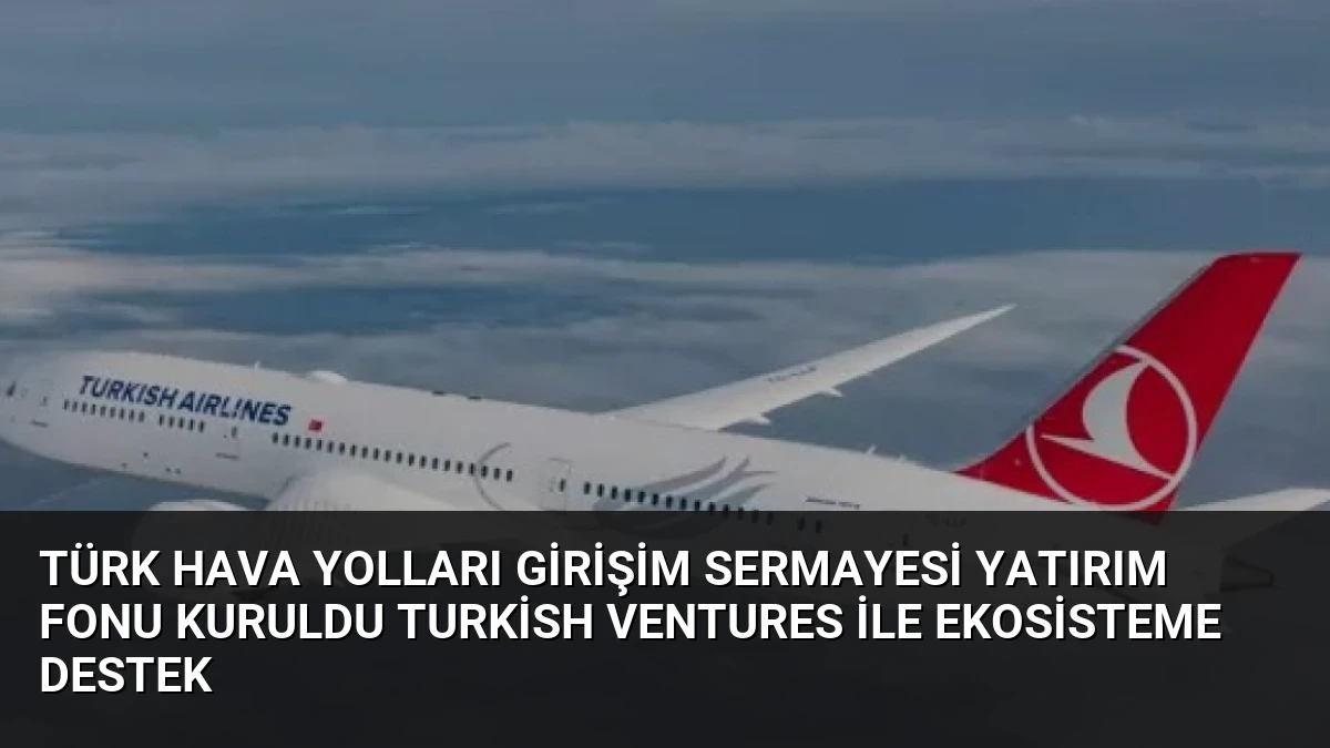 Türk Hava Yolları Girişim Sermayesi Yatırım Fonu Kuruldu Turkish Ventures ile Ekosisteme Destek