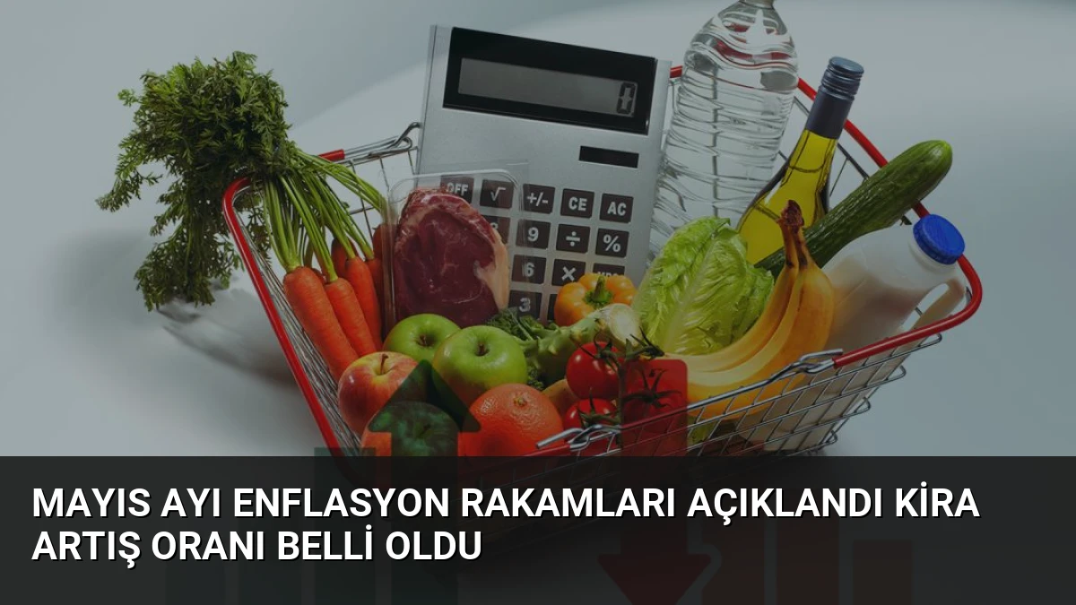 Mayıs Ayı Enflasyon Rakamları Açıklandı Kira Artış Oranı Belli Oldu