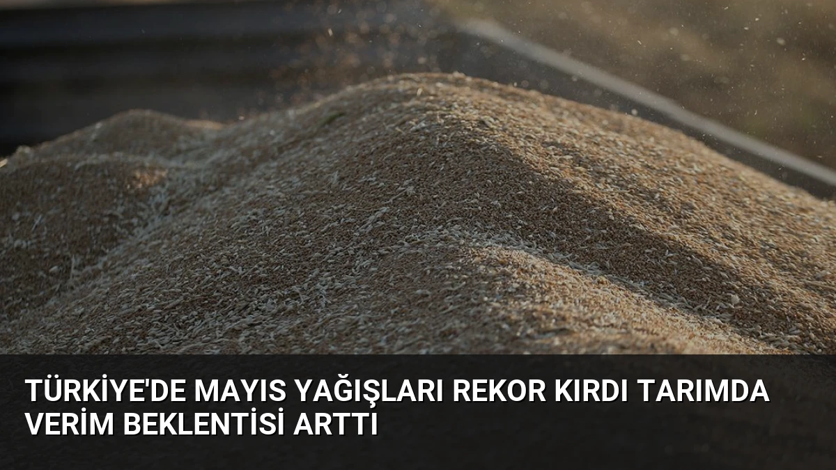 Türkiye’de Mayıs Yağışları Rekor Kırdı Tarımda Verim Beklentisi Arttı