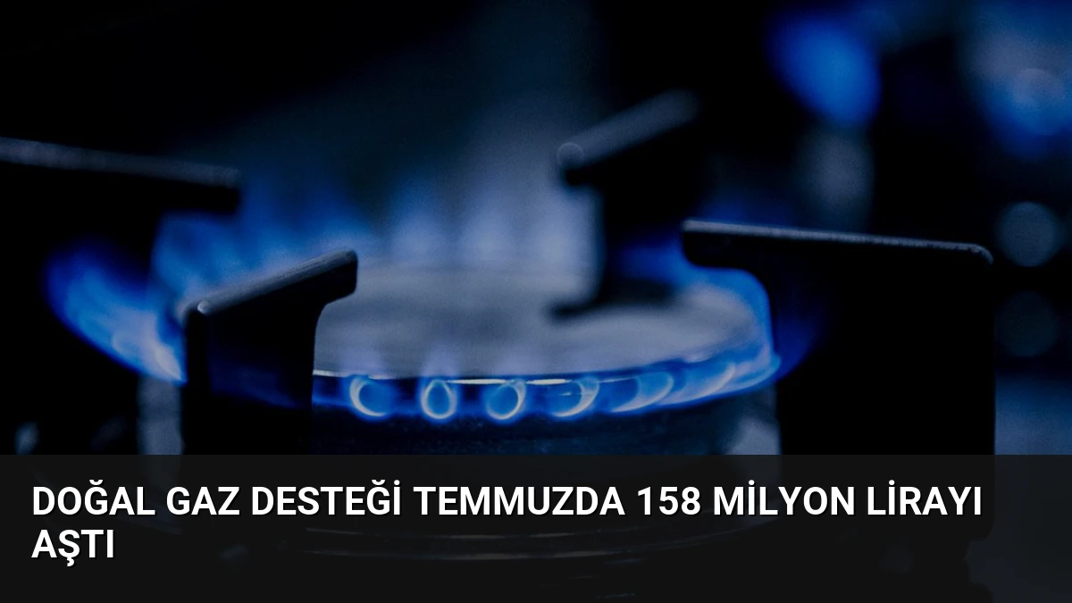 Doğal Gaz Desteği Temmuzda 158 Milyon Lirayı Aştı