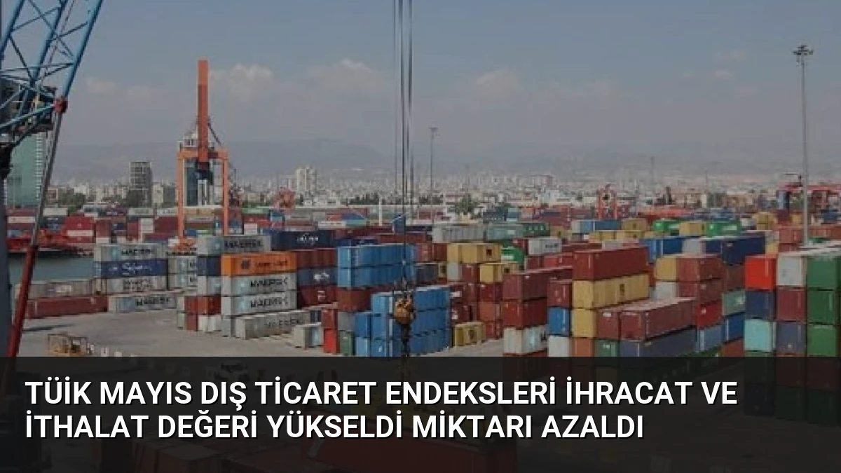 TÜİK Mayıs Dış Ticaret Endeksleri İhracat ve İthalat Değeri Yükseldi Miktarı Azaldı