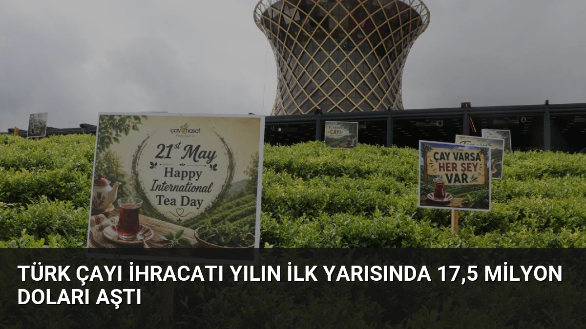 Türk Çayı İhracatı Yılın İlk Yarısında 17,5 Milyon Doları Aştı