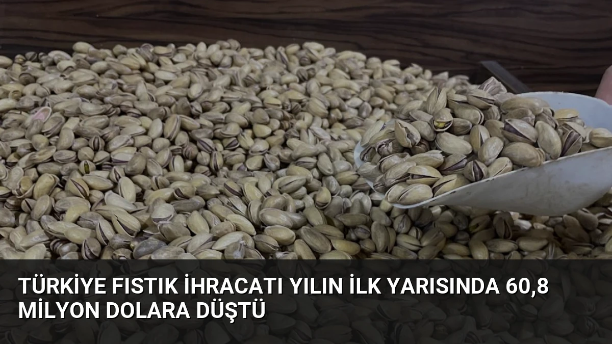 Türkiye Fıstık İhracatı Yılın İlk Yarısında 60,8 Milyon Dolara Düştü
