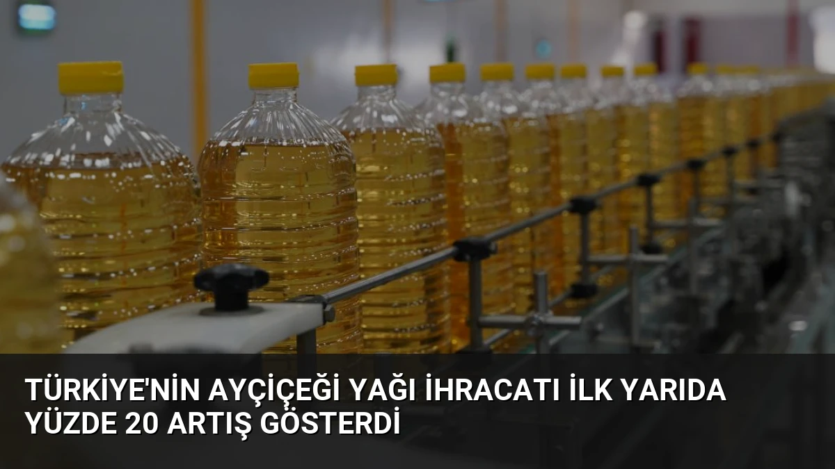 Türkiye’nin Ayçiçeği Yağı İhracatı İlk Yarıda Yüzde 20 Artış Gösterdi