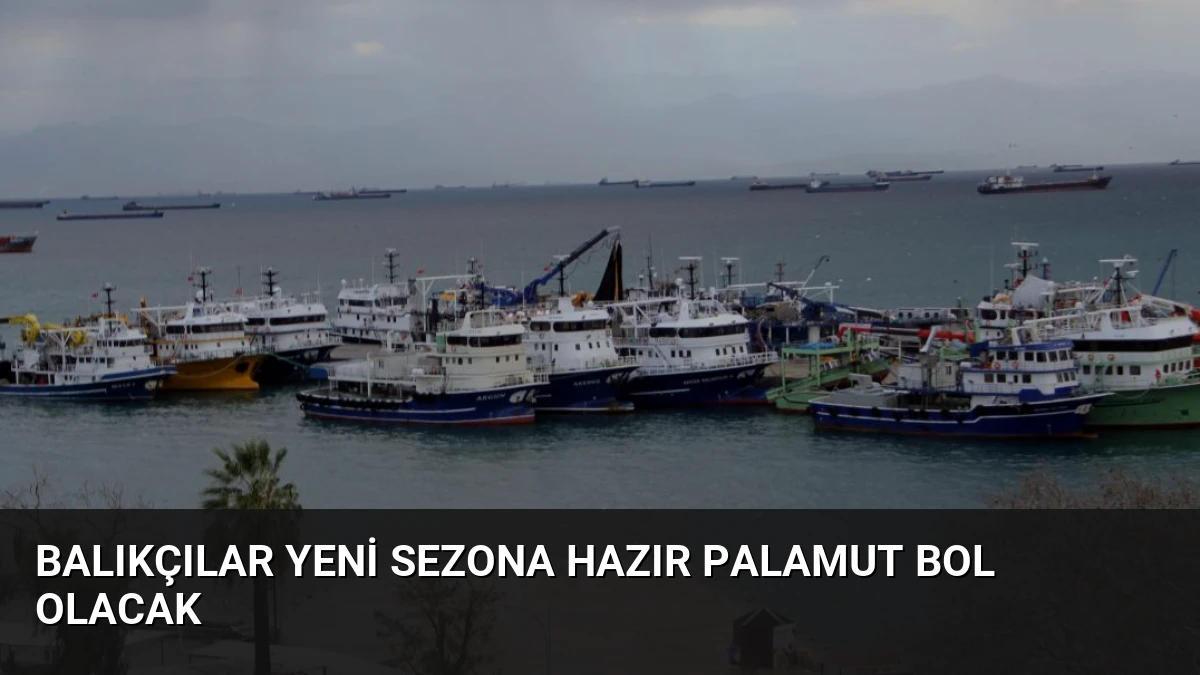 Balıkçılar Yeni Sezona Hazır Palamut Bol Olacak