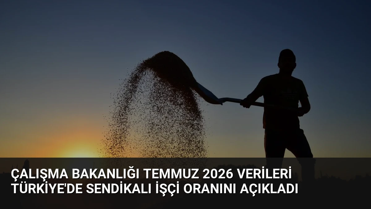 Çalışma Bakanlığı Temmuz 2026 Verileri Türkiye’de Sendikalı İşçi Oranını Açıkladı
