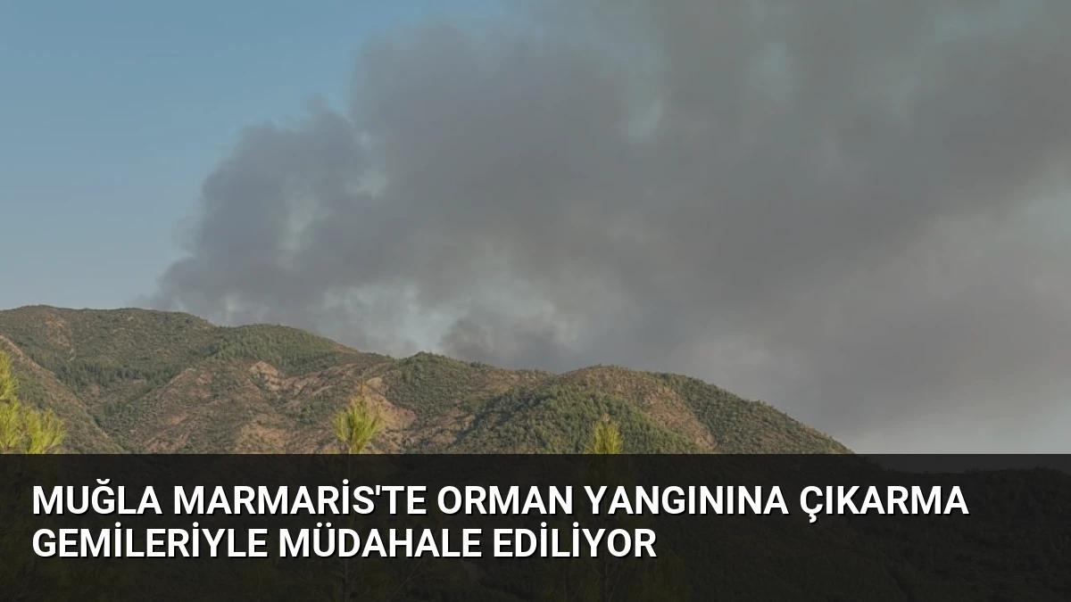 Muğla Marmaris’te Orman Yangınına Çıkarma Gemileriyle Müdahale Ediliyor