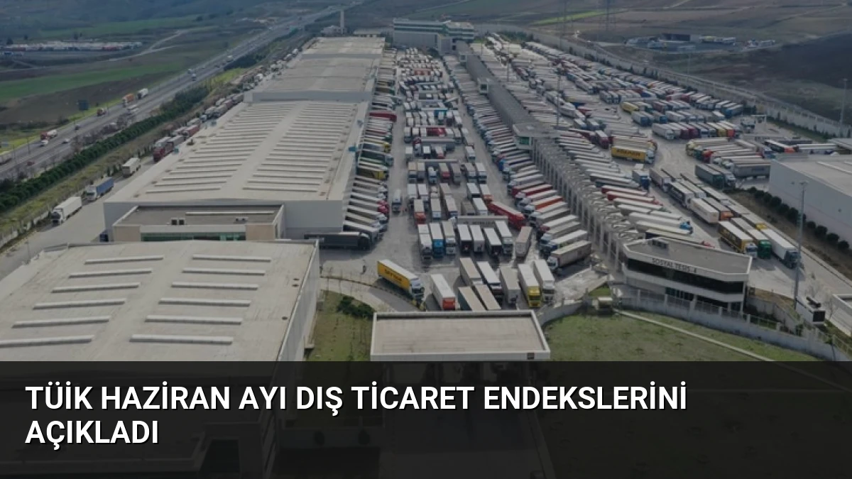 TÜİK Haziran Ayı Dış Ticaret Endekslerini Açıkladı