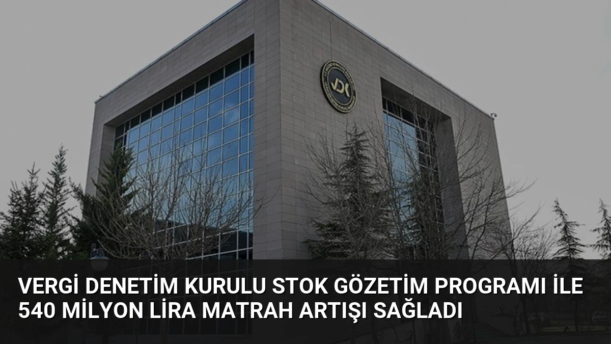 Vergi Denetim Kurulu Stok Gözetim Programı ile 540 Milyon Lira Matrah Artışı Sağladı