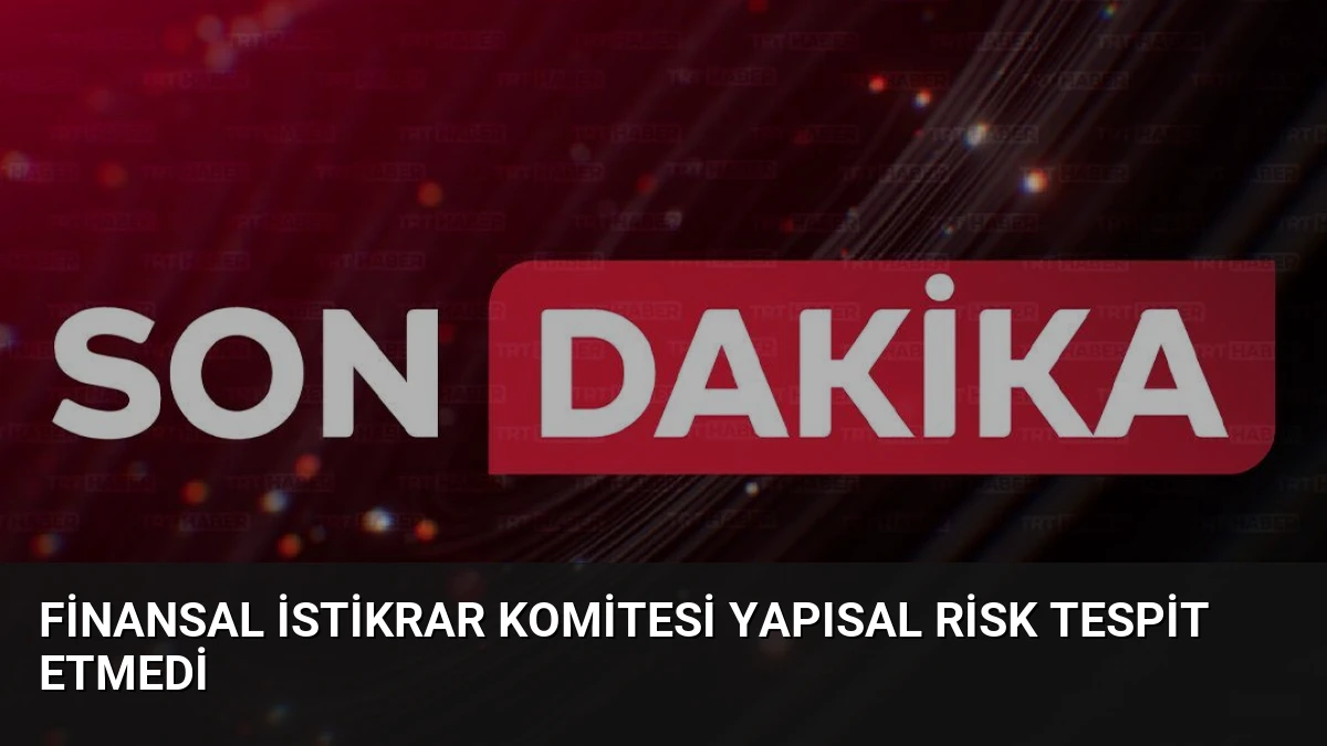 Finansal İstikrar Komitesi Yapısal Risk Tespit Etmedi