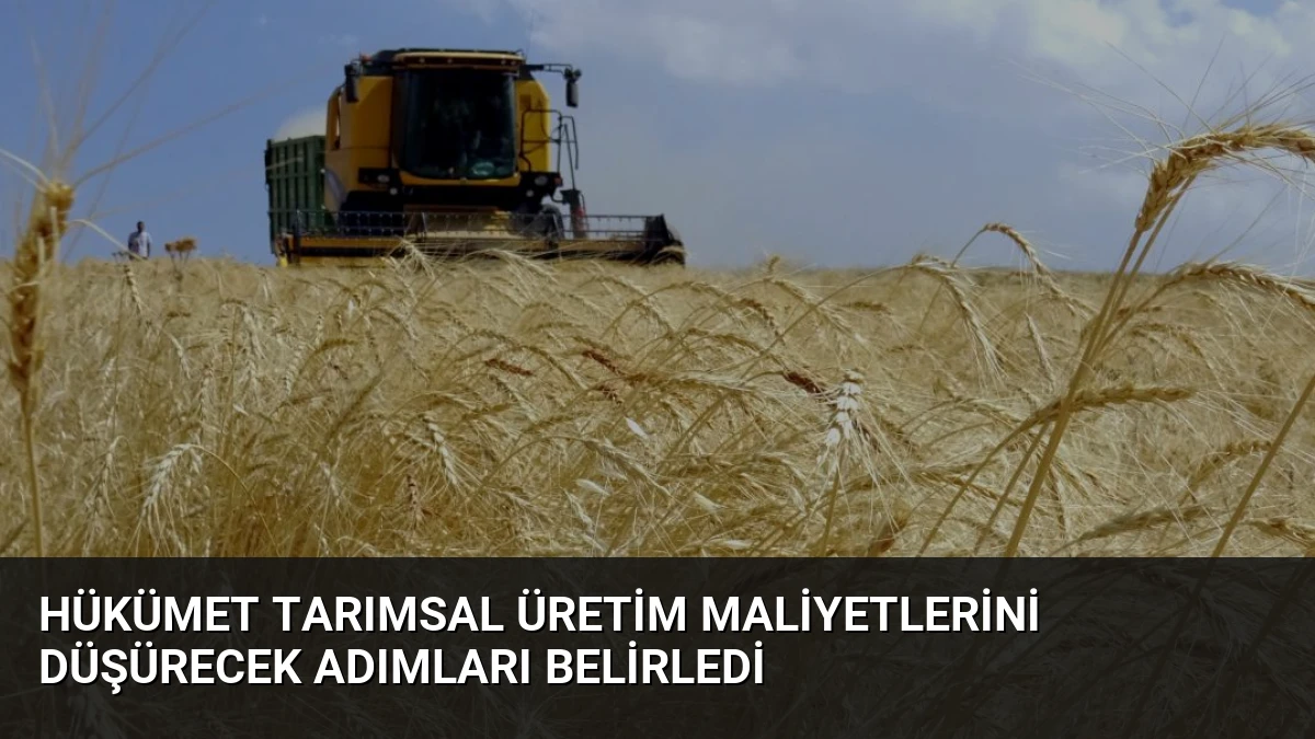 Hükümet Tarımsal Üretim Maliyetlerini Düşürecek Adımları Belirledi