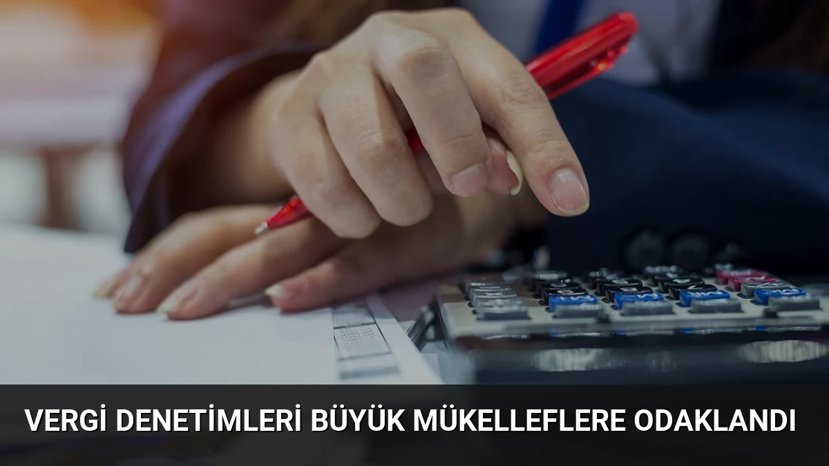 Vergi Denetimleri Büyük Mükelleflere Odaklandı