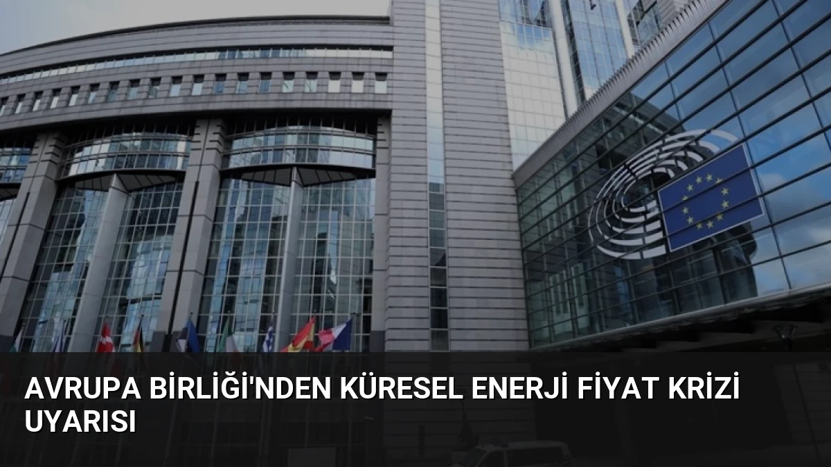 Avrupa Birliği’nden küresel enerji fiyat krizi uyarısı