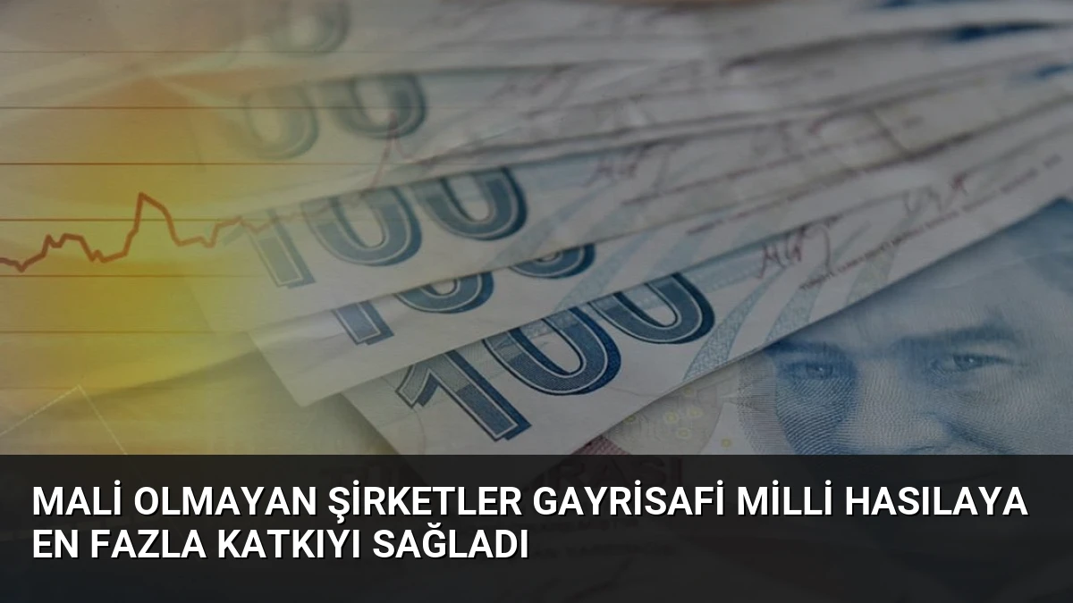 Mali Olmayan Şirketler Gayrisafi Milli Hasılaya En Fazla Katkıyı Sağladı