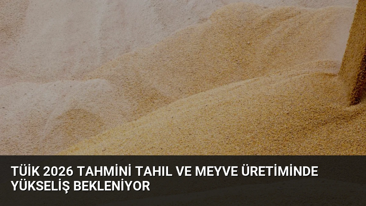 TÜİK 2026 Tahmini Tahıl ve Meyve Üretiminde Yükseliş Bekleniyor
